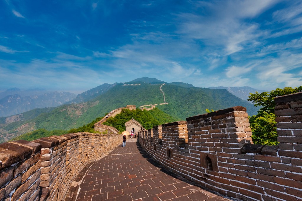 Der Entschluss steht !