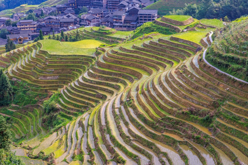 Longjin Reisterrassen